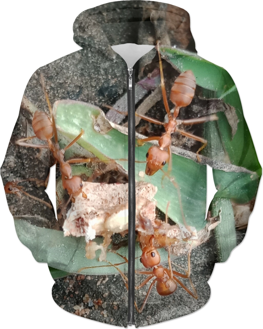 Red ant attack 911trainwreck